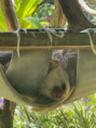 /album/fotogaleria-panama-zajazd-vy-a-my/panama-zajazd-dovolenka-50-jpg1/